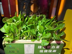 -大隐·成都火锅Bistro(合生麒麟新天地店)