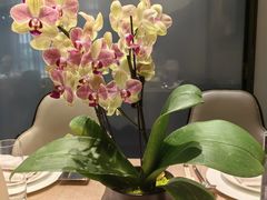 -北京泰富酒店-柏景轩中餐厅