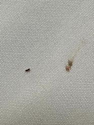 -百悦健康月子中心(祈悦店)