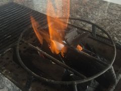 -蘑统田下·野生菌火锅