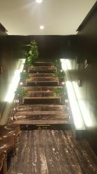 -木北造型