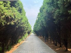 -秦始皇帝陵博物院-丽山园