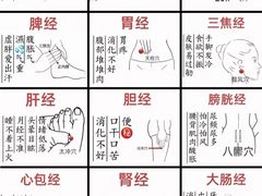 -莱仪堂艾灸经络养生馆(九亭一店)