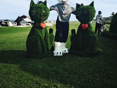 -秦皇岛阿尔卡迪亚滨海度假酒店