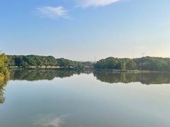 -昆山城市生态森林公园