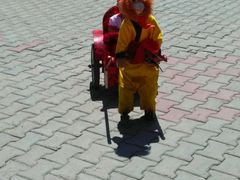 -水上乐园·欢乐世界