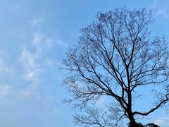 -雅安楠水阁温泉酒店