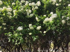 -蠡湖大桥公园
