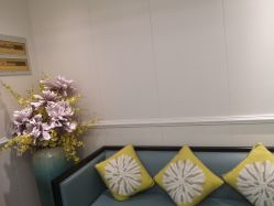 -静博士·养生养颜