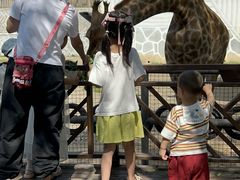 -泉州海丝野生动物世界