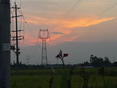 -桤木河湿地公园