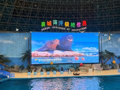 -泉城欧乐堡海洋极地世界