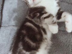 -达爱动物医院·犬猫分区·CT·复杂眼科(远洋山水分院)