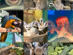 -萌宠奇缘(荣鼎店)