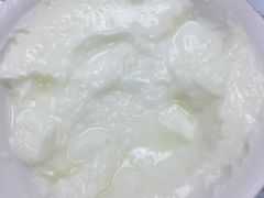 双皮奶-义顺牛奶公司