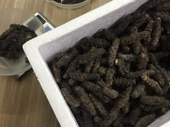 -宫品海参专卖店(静安大宁店)
