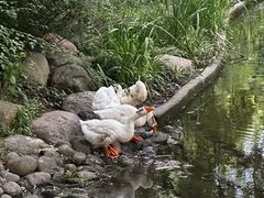 -蓝海豚游泳俱乐部(南京西路店)