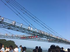 -梦幻奥陶纪景区