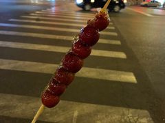 -和禄德冰糖葫芦