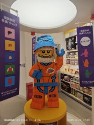 -乐高授权专卖店(浦东嘉里城店)