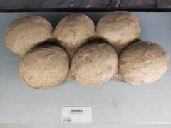 -湖南省地质博物馆