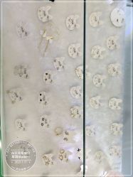 -AI艾耳·专业手工耳洞·穿孔美学馆