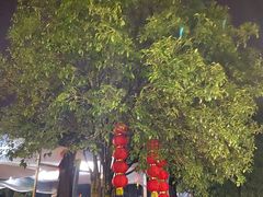 -听风阁农家私房菜茶楼(龙坞店)