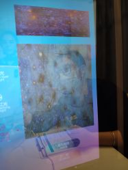 -skin79皮肤管理中心