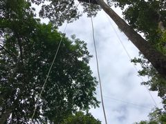 -清迈丛林飞跃 JungleFlight
