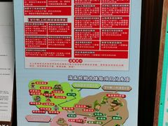 -海南槟榔谷黎苗文化旅游区