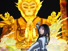 -海合安成都极地海洋公园