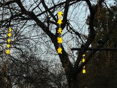 -大雁塔北广场音乐喷泉