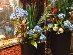 -浩运·海鲜青岛菜·海胆水饺(石老人店)