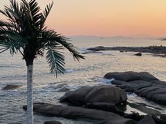 -Vanillacafe香草咖啡(银海大世界店)