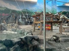 -武汉动物园