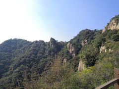 -大岭沟猕猴桃谷风景区