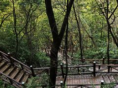 -大岭沟猕猴桃谷风景区