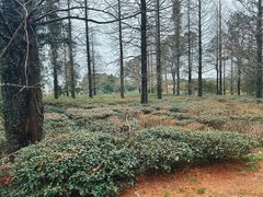 -虞山风景区