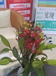 -苗医生专业祛痘·皮肤管理
