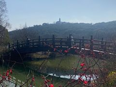 -苏州上方山国家森林公园