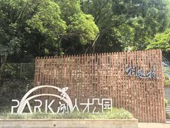 -银湖山郊野公园-相思林