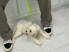 -纳吉亚猫专科动物诊疗中心(蒋宅口分院)