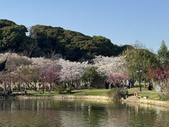 -苏州上方山国家森林公园