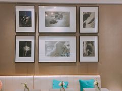-PAUL LAFAYET 法式甜品(港汇广场店)