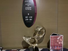 -南京禄口机场雅高铂尔曼大酒店