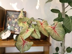 -山由之cafe&meal(小寨店)