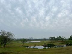 -盘龙城国家考古遗址公园