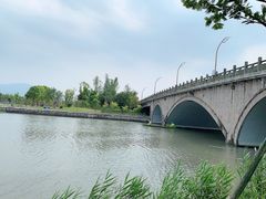-三垟湿地
