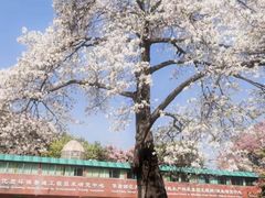 -华南师范大学(广州大学城校区)