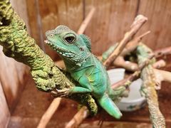 -上海昆虫博物馆